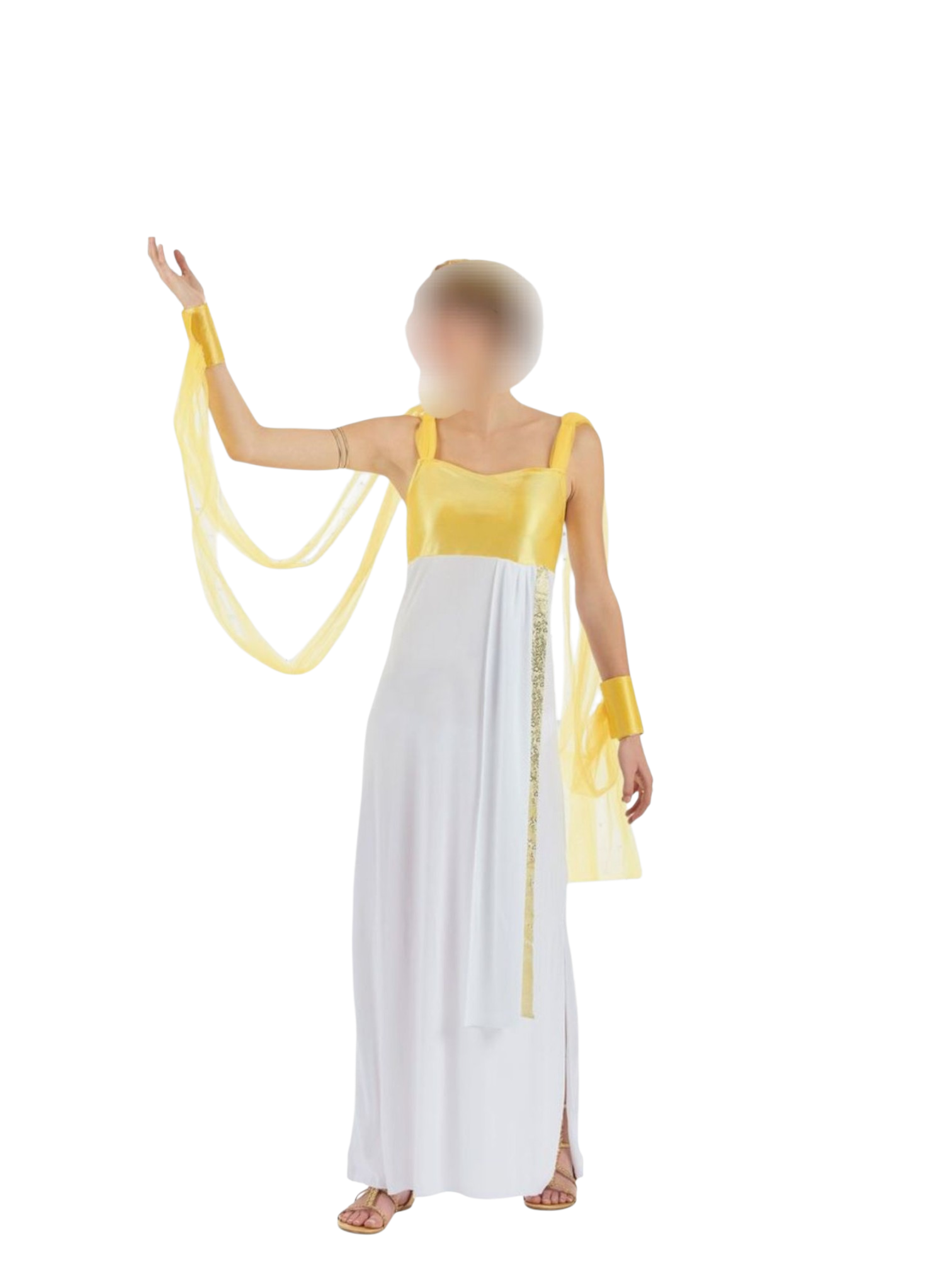 Deguisement Adulte Princesse Romaine