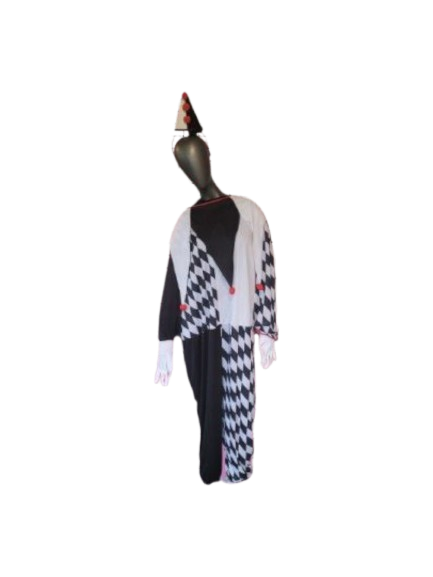 Deguisement Arlequin Noir Et Blanc B